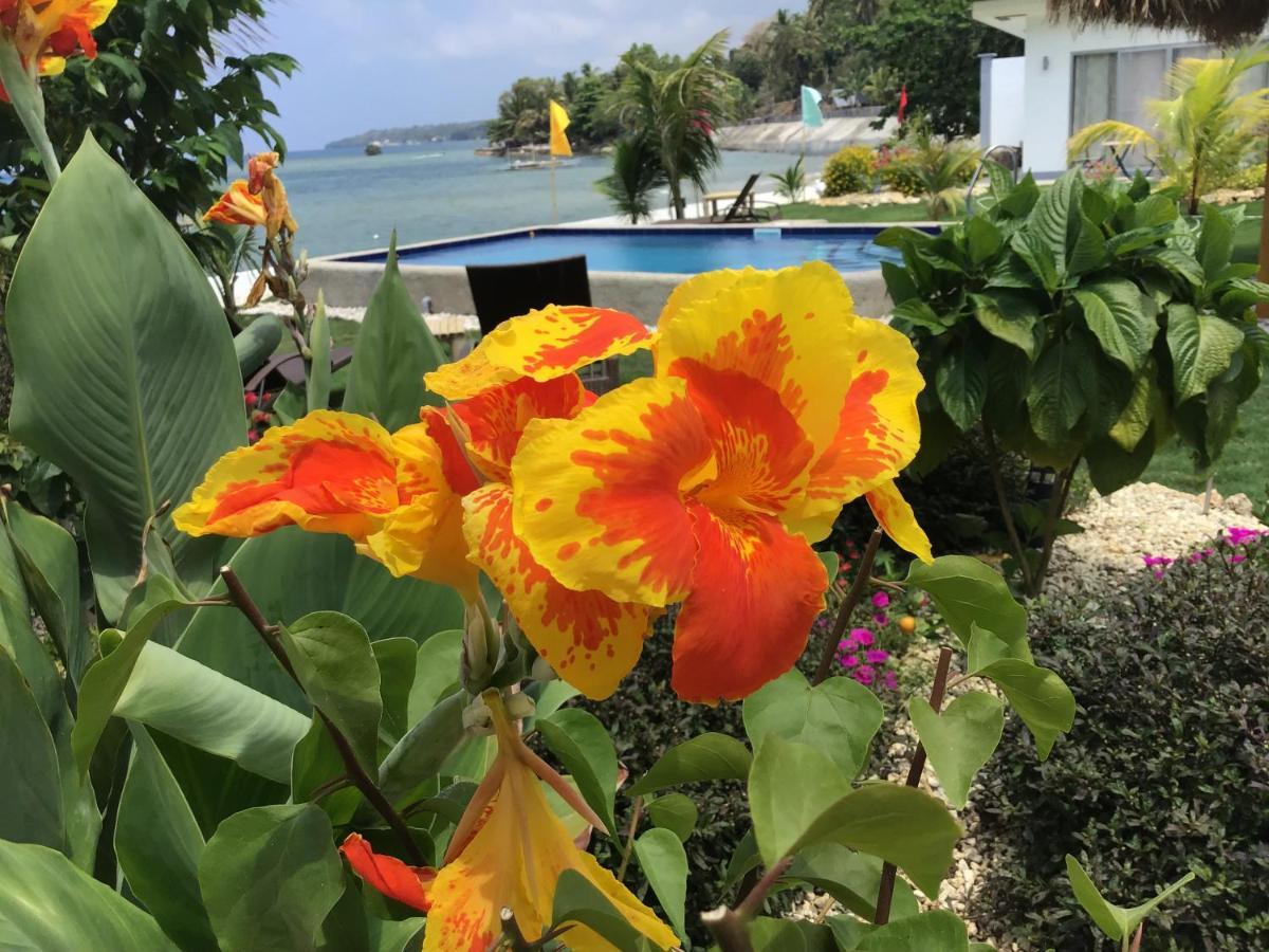 Bamboobeachvilla2 Ac New Oceanfront Pool Sunsetview Garden Kitchen Satellite Starlink Wi-Fi Dimiao Luaran gambar